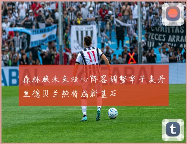 森林狼未来核心阵容调整华子麦丹里德贝兰热将成新基石